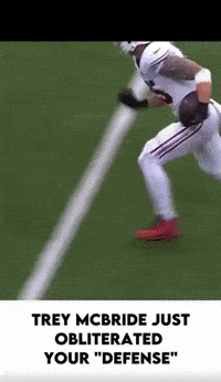 Arizona Cardinals Football GIF