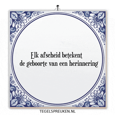 Moment Wijsheid GIF by Tegelspreuken.nl