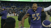 Happy National Football League GIF by Baltimore Ravens