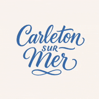 Mcolor mer carleton mcolor mcolor33 GIF