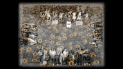 coldplay music friends life flowers GIF