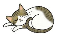 cats love Sticker