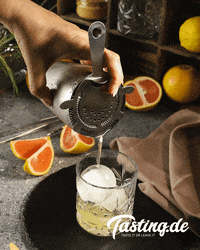 tastingde drink ice drinks cocktails GIF