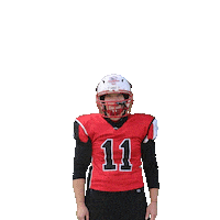 stuttgartscorpionssisters sisters stuttgart americanfootball scorpions Sticker