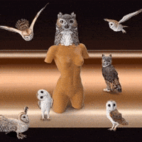Fly High Owls GIF by The LSD Hotel