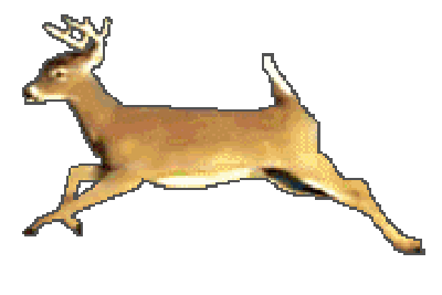 Deer Running Sticker
