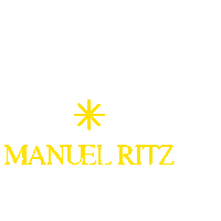 fashion star Sticker by Manuel Ritz