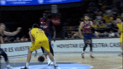 Liga Endesa Basketball GIF by ACB