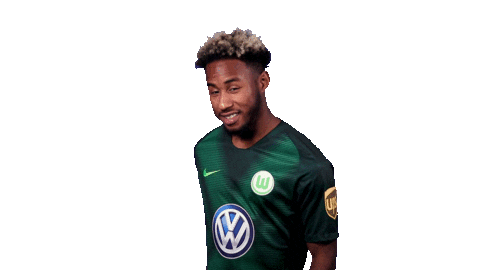 Football Soccer Sticker by VfL Wolfsburg