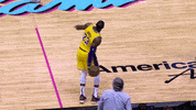 lebron james ball GIF by NBA