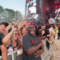 Lollapalooza GIF by Respective