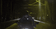 blood orange GIF by Domino Recording Co.