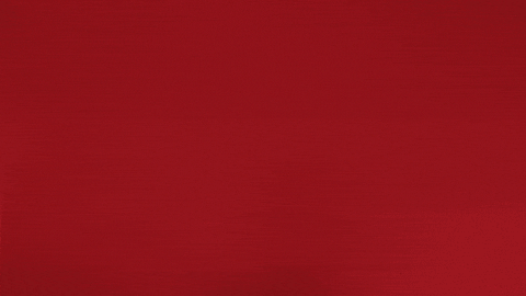 France Smiling GIF by Bundesliga