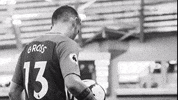 Soccer Futbol GIF by Brighton & Hove Albion Football Club