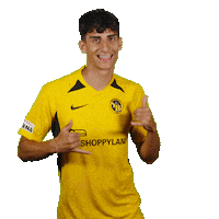 Celebration Goal Sticker by BSC Young Boys
