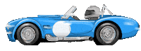 Cobra Shelby Sticker