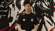 League Of Legends Lol GIF by G2 Esports