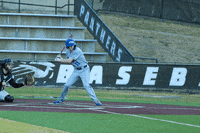 Baseball GIF by TCABB