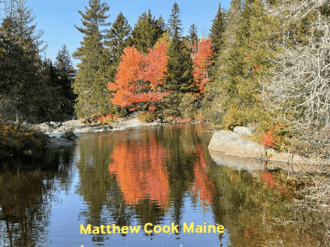 matthewcookmaine giphygifmaker GIF