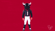 Mascot Salute GIF by Houston Texans