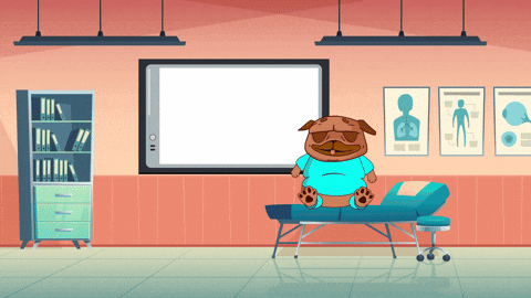 X Ray Crypto GIF by BigBrains