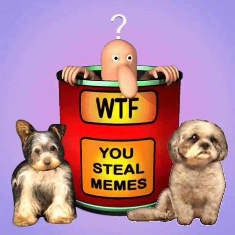 Dogs Wtf GIF