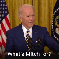 What's Mitch for?