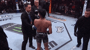 Sport GIF by UFC