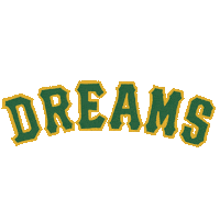 Baseball Dream Sticker