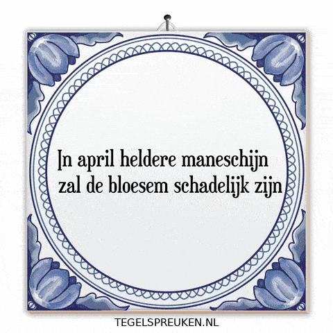 April Wijsheid GIF by Tegelspreuken.nl