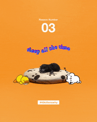 tired best friends GIF by Best Friends Animal Society