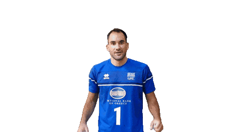 HellenicVolleyballFederation giphyupload volleyballgr zisis Sticker