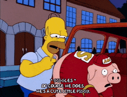homer simpson episode 3 GIF