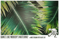 major booth amsterdam open air GIF by Jillz