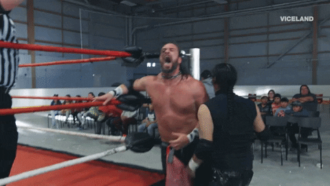 yell professional wrestling GIF by THE WRESTLERS