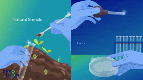 Comteagency giphyupload GIF