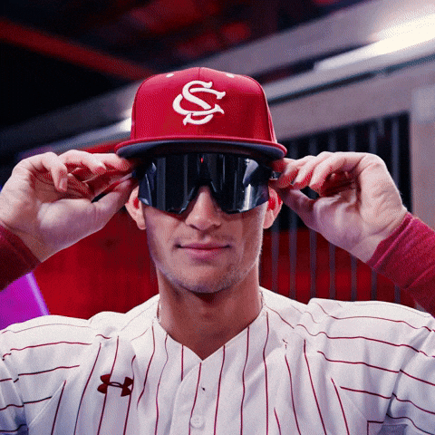 Home Run Celebration GIF by Gamecock Athletics
