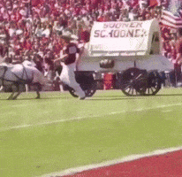 oklahoma ou sooners wagonfail wagoncrash GIF