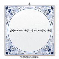 Humor Nieuw GIF by Tegelspreuken.nl