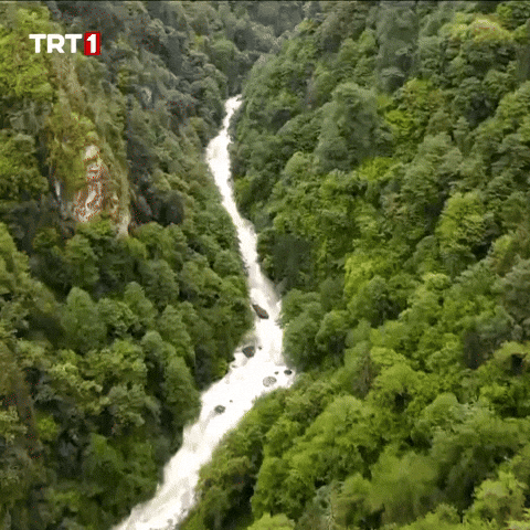 Fresh Air Water GIF by TRT