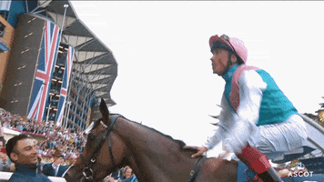 AscotRacecourse celebrate jump winner fly GIF