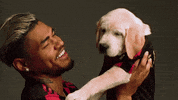 Dog Soccer GIF by Atlanta United