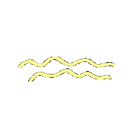 Summer Wave Sticker by BabyOne