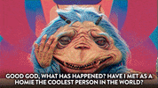 GIF by Comedy Central
