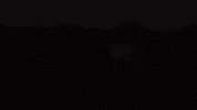 Dragon Boat Festival GIF