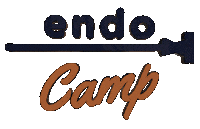 endoacademy endo academy endoacademy endo camp endocamp Sticker