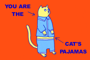 You Are The Cats Pajamas GIF