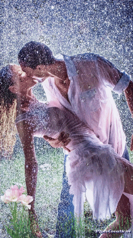 Pipercreations Lovers Rain Nature Affection Allure Love Art GIF