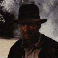 dushkebab indiana jones indianajones indyjo indy jo GIF