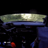 Getting Dirty Safari Rally GIF by FIA World Rally Championship